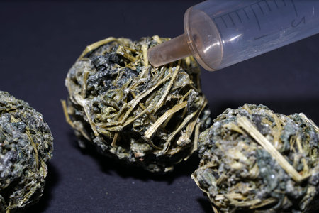 Jiaogulan herb is also referred to as the herb of the immortals and sold.