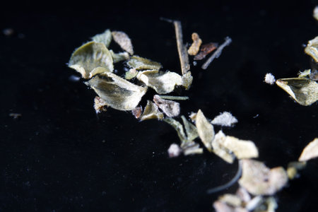Spices for the kitchen spices in best studio quality photographed partly isolated against black...
