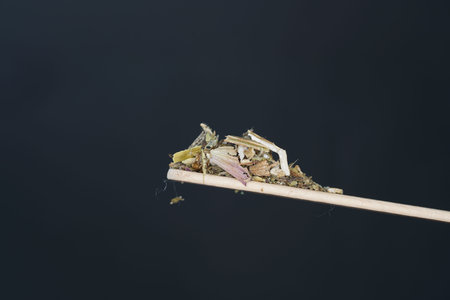 Kitchen spices in best studio quality photographed partly isolated against black background with...