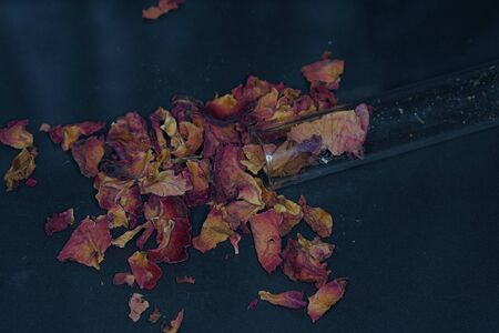 Kitchen spices in best studio quality photographed partly isolated against black background with macro lens takenの写真素材