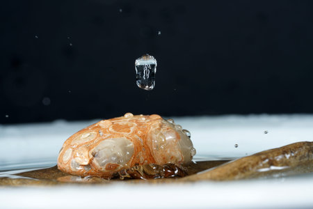 Jasper is a microcrystalline, fine-grained variety of the mineral quartz and closely related to the always fibrous chalcedony.の写真素材