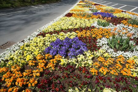 Public park for recreation seekers and as a green lung for big citiesの写真素材