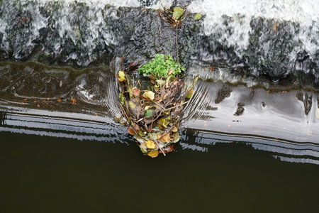 A Bavarian stream on the way to its mouth in the big river