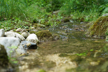 A Bavarian stream on the way to its mouth in the big river