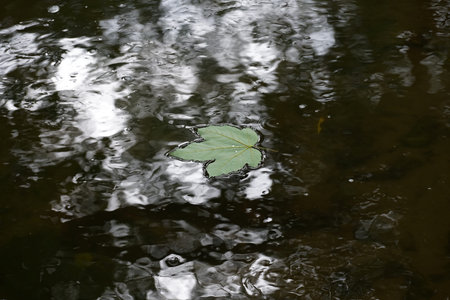 A Bavarian stream on the way to its mouth in the big riverの写真素材