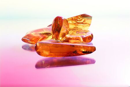 Amber with trapped insects photographed in studio with close up lensの写真素材