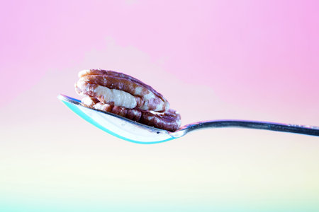 The pecan kernels taste similar to the walnut kernels, photographed here as a detail in the studio