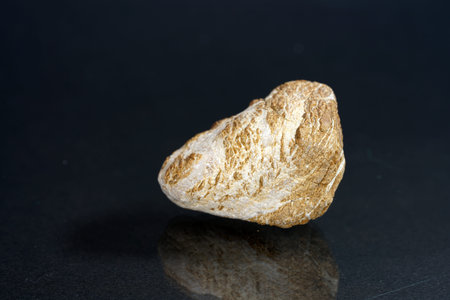 Stones in studio photographed with flash and macro lens