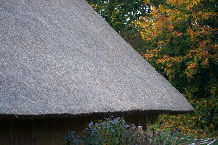 Roofing with different materials is overgrown with moss and other plantsの写真素材