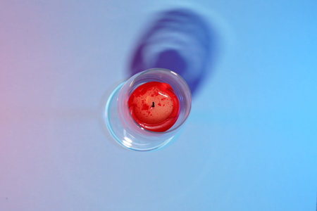 Candle with smoke and flame photographed in the studio with color foils before the flashesの写真素材