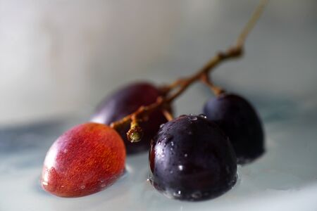 Bunches of grapes in ice water with colorful flashes photographed in studioの写真素材