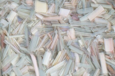 Lemon grass spreads a pleasant fragrance after lighting and is therefore very suitable for smoking meat and fish, photographed in the studio.の写真素材