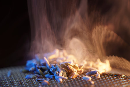 After lighting, thyme spreads a pleasant fragrance and is therefore very suitable for smoking meat and fish, photographed in the studioの写真素材