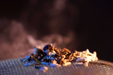 After lighting, thyme spreads a pleasant fragrance and is therefore very suitable for smoking meat and fish, photographed in the studioの写真素材