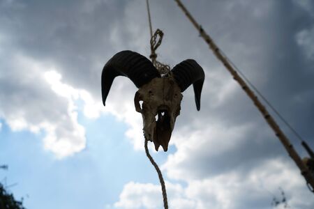 Perfectly imitated skull photographed on a cloudy day at a medieval festival in Germanyの写真素材