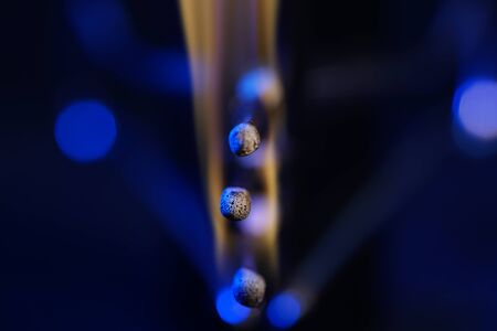 Lit matches and blown out in the studio photographed with colorful foils before the flashesの写真素材