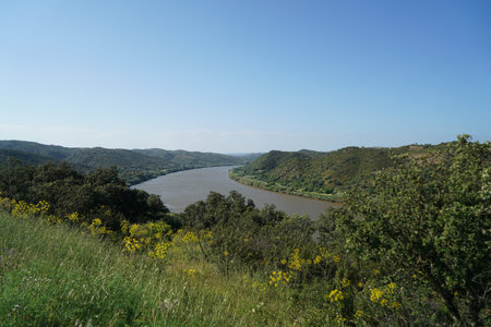 This is the border river between the Spanish Andalusia and the Portuguese Algarve shortly before the confluence with the Atlanticの写真素材