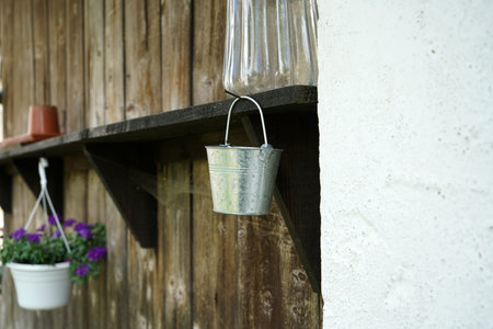 Geraniums and petunias are easy-care plants and are particularly suitable as potted plants to beautify the houseの写真素材