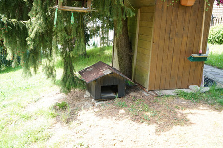 A wooden hut from a hunter and woodworker in the forestの写真素材