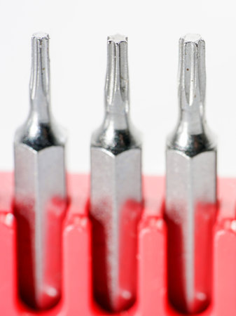 Screwdriver bits made from tool steel in the red box photographed against a white background in the...
