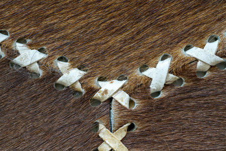 Graphic elements photographed in the studio with natural light well for background