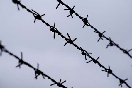 Fence wire photographed outdoors in the best of daylightの写真素材