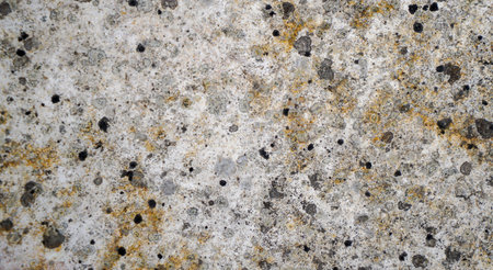 Stone and processed from natural stone, photographed in daylight structure of a stone slab, cut