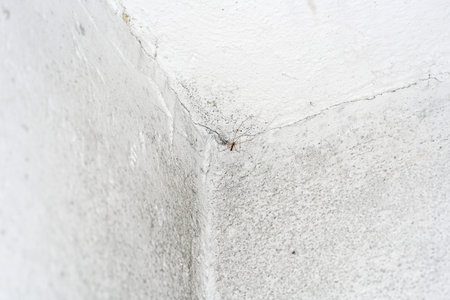 Moldy stone wall through damp walls structure photographed in daylight