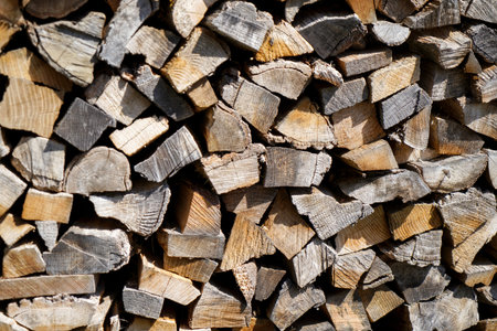 Wood with a fine structure, photographed outdoors in daylight