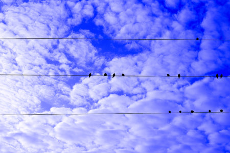 Landscape pictures with clouds and birds outdoors in Germany photographed and edited in daylightの写真素材