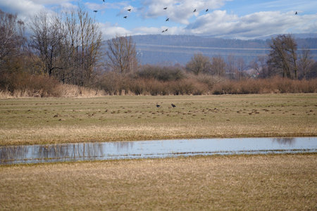 Landscape pictures with clouds and birds outdoors in Germany photographed and edited in daylight