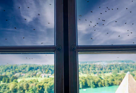 Old wooden frame and broken glass window on an old building for renovationの写真素材