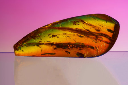 Amber made of yellow transparent fossil resin with insect inclusions photographed in the studioの写真素材