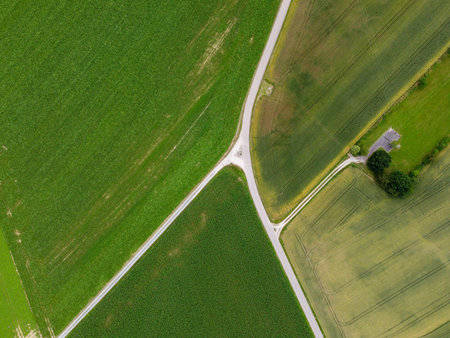 Aerial view of an agricultural field with grain planted in spring in Bavaria