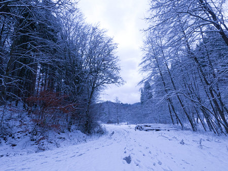 Winter with lots of snow in Bavaria is beautiful again every yearの写真素材