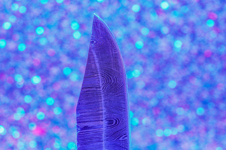 Hand-forged knife made of several layers of steel with an exclusive pattern photographed in the studioの写真素材