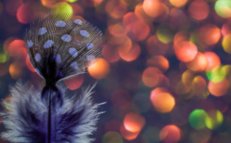 Bird feather as a background image with a lot of bright colors and structure