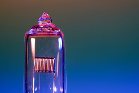 Lightbulb, halogen, incandescent lamp are reserve lamps for motor vehicles in 12 volt operation...
