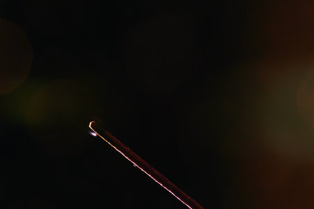 Smoke photographed in the studio with copy space and backgroundの写真素材