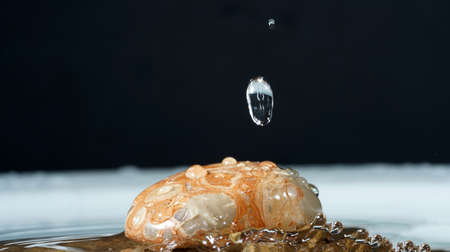 Water drops photographed with high-speed flashes in the studioの写真素材