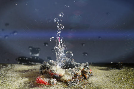 Water drops photographed with high-speed flashes in the studioの写真素材