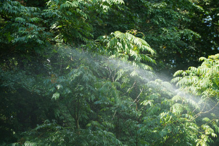 Irrigation after prolonged drought is necessary for field and garden