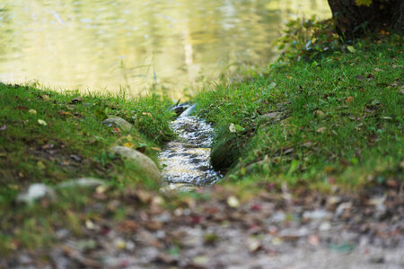 Small stream in the park, close up of water and green grass