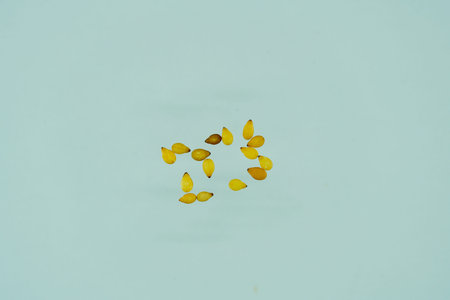 Seeds of a dog on a blue background. Pet food.
