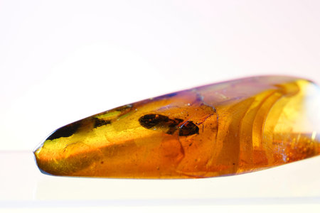 Amber gemstone on a white background. Macro photo of amber