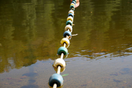 Rope in the river, close-up of photo with shallow depth of field