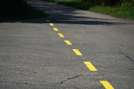 Asphalt road with yellow dividing line. Road with yellow marking.