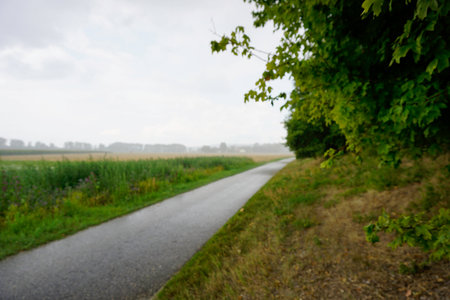 Road in the countryside with trees in the foreground and a cloudy skyの写真素材