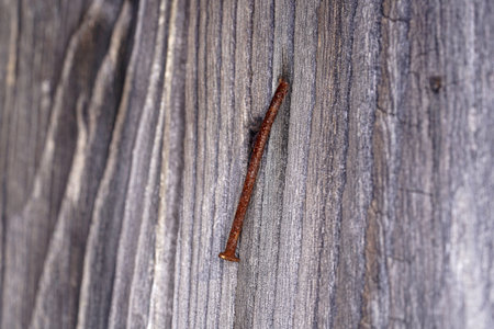 old nail on a wooden background, close-up, selective focusの写真素材