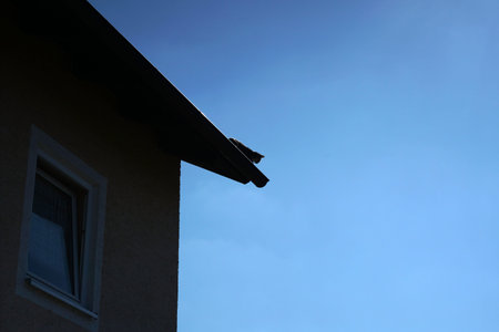 Roof of a house with blue sky and clouds as background.